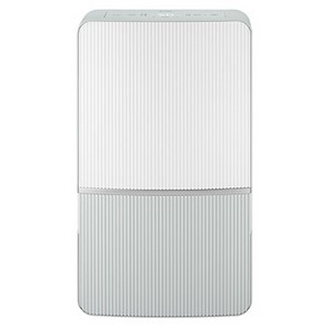 위닉스 인버터 뽀송 제습기 21L DXWE210-NGK