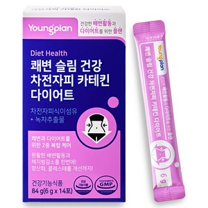 영진약품 쾌변 슬림 건강 차전자피 카테킨 다이어트, 84g, 1개