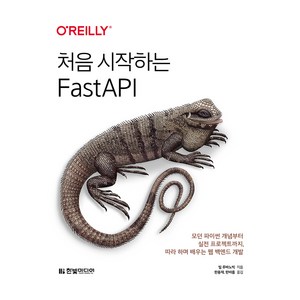 처음 시작하는 FastAPI, 빌 루바노빅, 한빛미디어