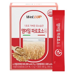 웰업 로엘 엠머밀 파로효소 30p, 90g, 1개