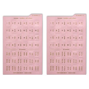플레픽 이너 인덱스 스티커 CARNATION, 2개, 1개입