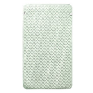 이한일 휴로스틱 몽블링 탄소매트 침대용 전기요, 민트그린, 더블(150 x 200 cm)