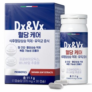 디엑스앤브이엑스 덱스벡스 혈당케어, 1개, 30정