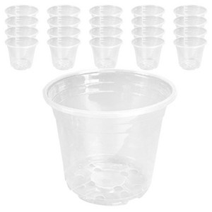 비레오 뿌리가 잘 보이는 화분, 투명, 20개