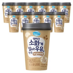 덴마크 동원 소화가 잘되는 우유로 만든 바닐라라떼, 12개, 250ml