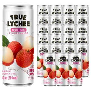 클룹 트루 퓨어 리치 주스, 24개, 250ml