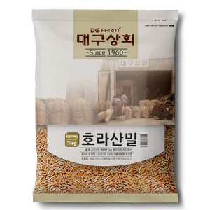 대구상회 호라산밀, 1kg, 1개