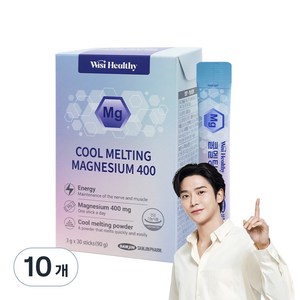위시헬씨 쿨멜팅 마그네슘 400 30p, 30스틱, 10개
