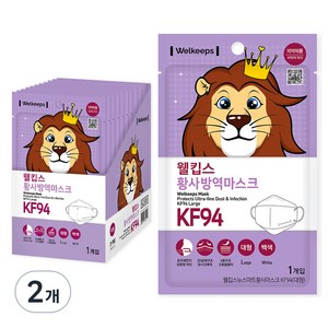 웰킵스 뉴스마트황사마스크 KF94 대형, 25개입, 2개, 백색