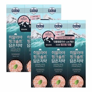 히말라야 핑크솔트 담은 치약 튜브형 아이스, 100g, 6개