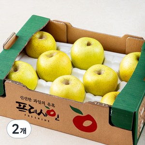 프레샤인 GAP 인증 시나노골드 사과, 2kg(중대과, 7~8입), 2개