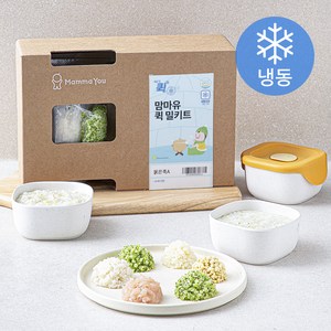 맘마유 퀵 밀키트 묽은죽 A플랜 480g (냉동), 1세트, 혼합맛(한우/새송이/닭가슴살/브로콜리/흰살생선/생감자)