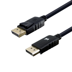 인네트워크 DisplayPort 1.2 M M 케이블 IN-DP12V01, 1개, 1m