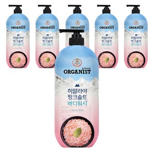 오가니스트 히말라야 핑크솔트 풍성한 거품 산뜻한 바디워시 민트향, 900g, 6개