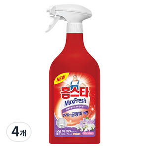 홈스타 맥스 프레쉬 뿌리는 곰팡이 세정제, 750ml, 4개