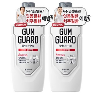 검가드 오리지널 구강청결제, 750ml, 2개