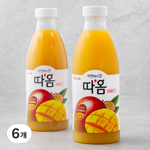 따옴 애플망고 주스, 730ml, 6개