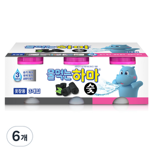 물먹는하마 참숯 제습제 본품, 280g, 6개