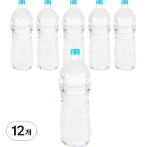 딥스 에코그린, 2L, 12개