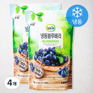 뉴뜨레 페루산 블루베리 (냉동), 1kg, 4개