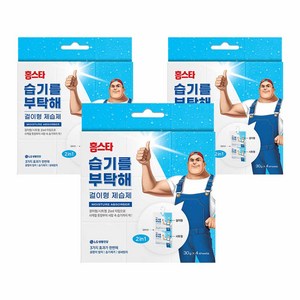 홈스타 습기를 부탁해 제습제 본품, 30g, 12개