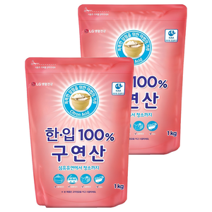 한입 100% 구연산 알파, 1kg, 2개