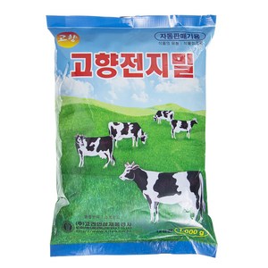 고향 차, 1kg, 1개