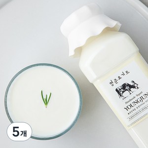 영준목장 수제 요거트 플레인, 500ml, 5개