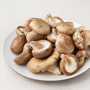 못생겨도 맛있는 표고버섯, 500g, 1개