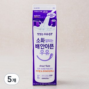 맛있는우유GT 소화 잘되는 배 안아픈 락토프리우유 저지방 & 프리바이오틱스, 900ml, 5개