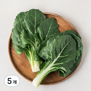 국내산 근대, 300g, 5개