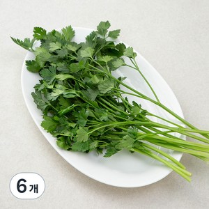 국내산 이탈리안 파슬리, 30g, 6개