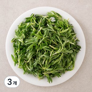 국내산 돌나물, 250g, 3개