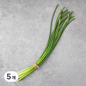 중국산 신선마늘쫑, 250g, 5개