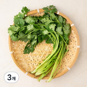 국내산 유기농 고수, 30g, 3개