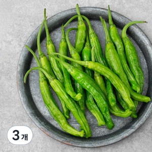 친환경 꽈리고추, 100g, 3개