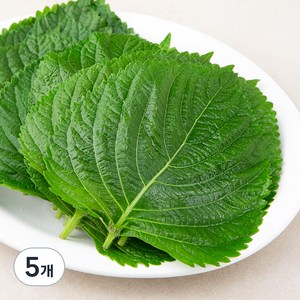 GAP인증 밀양 깻잎, 100g, 5봉