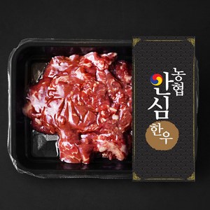 농협안심한우 양지 세절 1등급 국거리용 (냉장), 300g, 1팩