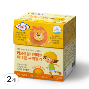 키움정 멀티 비타민 미네랄 구미 젤리, 240g, 2개