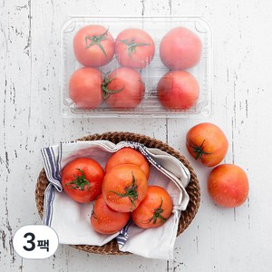 곰곰 토마토, 1kg, 3팩