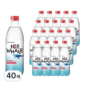 광동제약 아이스웨일 자몽 탄산음료, 500ml, 40개