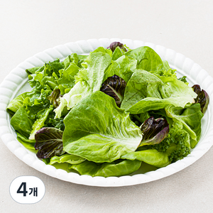 팜에이트 무농약 인증 유러피안 소프트 샐러드, 130g, 4개
