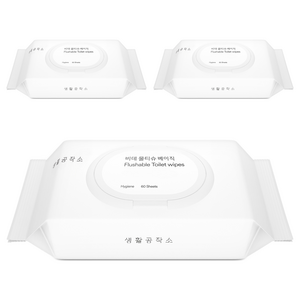 생활공작소 비데 물티슈 베이직 캡형, 60매, 3개
