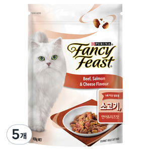 팬시피스트 어덜트 고양이 사료 쇠고기 연어 치즈맛, 곡물, 450g, 5개