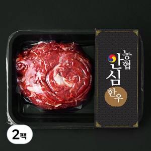 농협안심한우 정육 2등급 불고기용 (냉장), 300g, 2팩