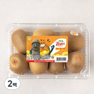 제스프리 제주 썬골드키위 점보, 1.1kg(왕점보), 2팩