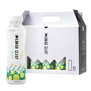 팜79 오늘의단식 단백질쉐이크 풋사과, 10개, 50g