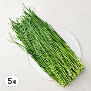 국내산 부추, 500g, 5개