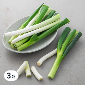 국내산 절단대파, 500g, 3개