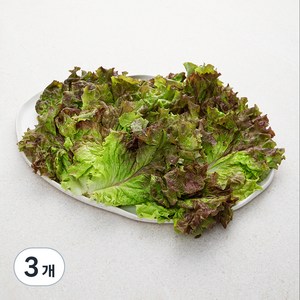 국내산 친환경 적상추, 150g, 3개